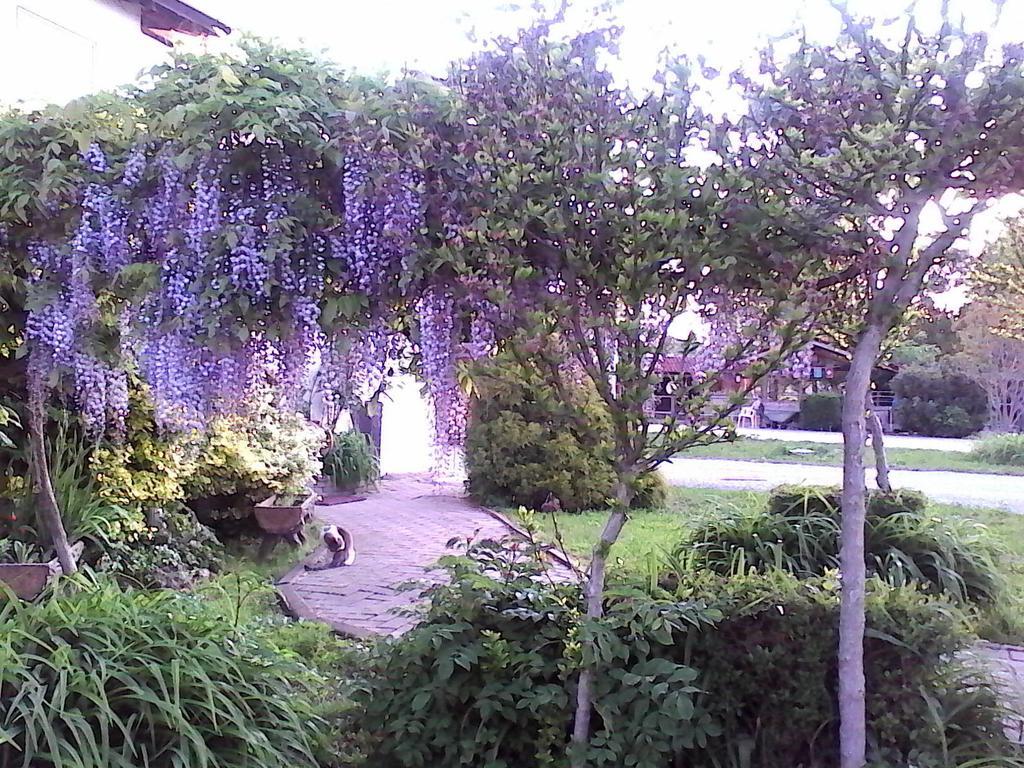 كونيو B&B Cm Ranch المظهر الخارجي الصورة