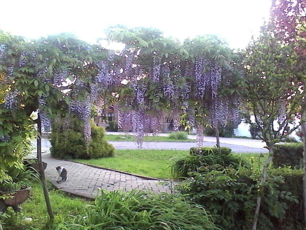 كونيو B&B Cm Ranch المظهر الخارجي الصورة
