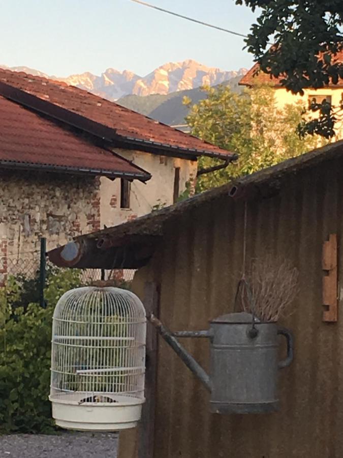 كونيو B&B Cm Ranch المظهر الخارجي الصورة