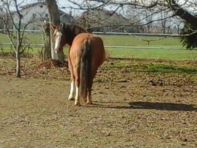 كونيو B&B Cm Ranch المظهر الخارجي الصورة